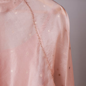 Daisy Zari Jamdani Organza Top