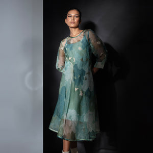 Greenwood Embroidered organza  Dress