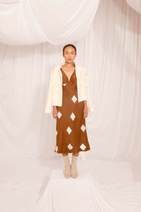 Tawny Silk Printed Dress
