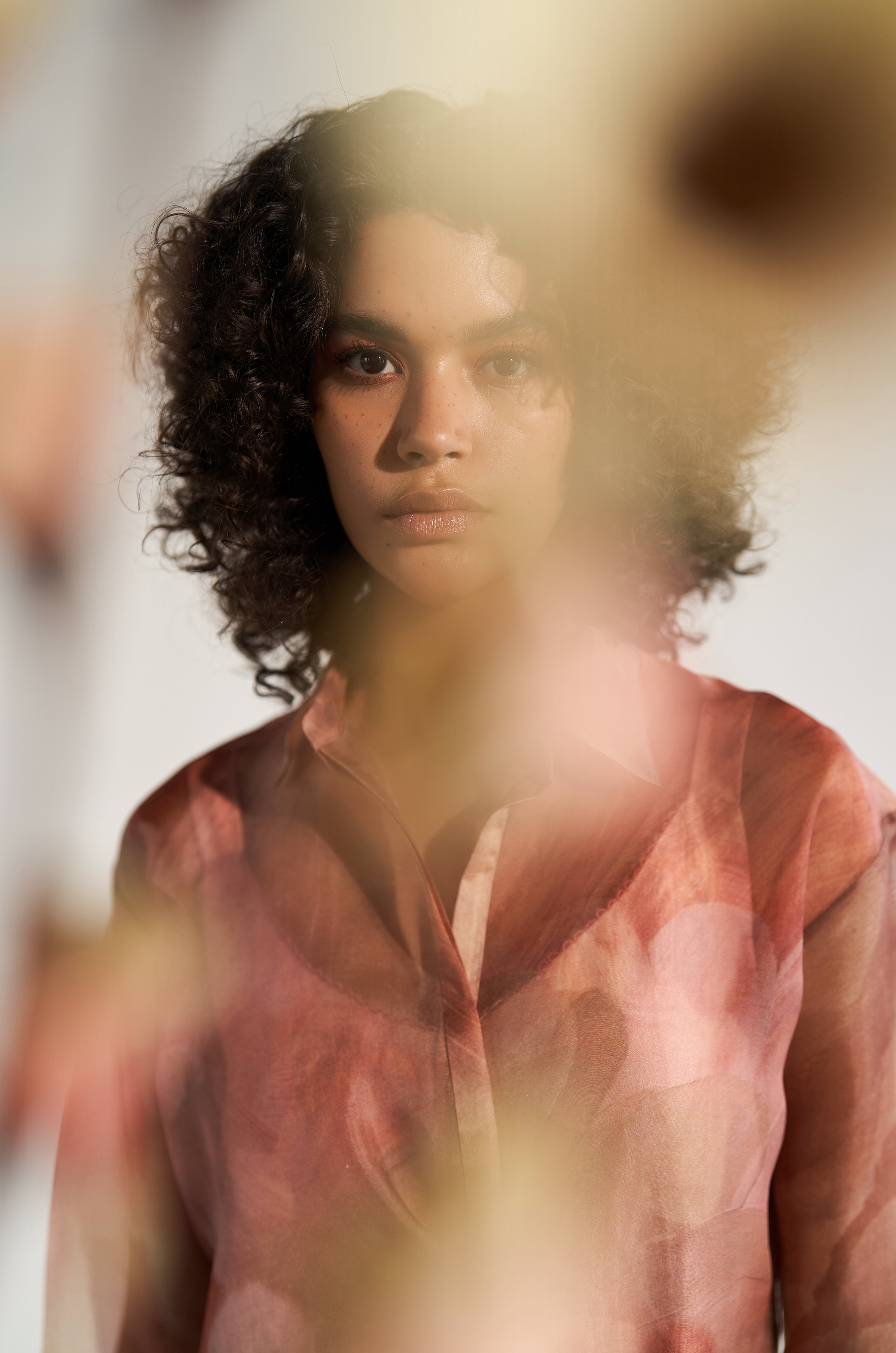 Sanctuary Organza Shirt
