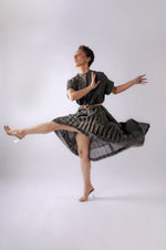 Load image into Gallery viewer, Candence Pleated Skirt
