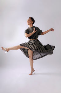 Candence Pleated Skirt